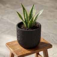 Capi Topf Bol Haut Anthrazit- D17cm - H15cm – Bild 4