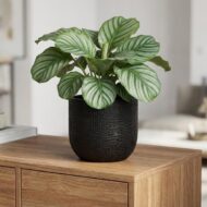 Capi Topf Bol Haut Anthrazit - D14cm - 13cm – Bild 4