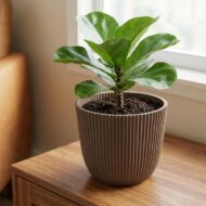 Rillentopf Nature Groove aus warmem Taupe - D17cm – Bild 4