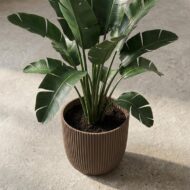 Capi Topf Nature Groove aus warmem Taupe D25cm – Bild 4