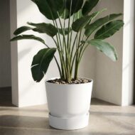 Elho Weiß Greenville rund 30 cm – D20cm – Bild 4