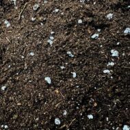 Blumenerde Culvita Anthurium und Farn 5 L – Bild 3