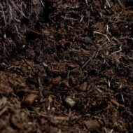 Universal Blumenerde inkl. 2 Monate Pflanzennahrung  40 liter – Bild 3