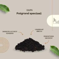 Premiumerde für Zimmer- und Gartenpflanzen – inklusive EasyCoat  40 Liter – Bild 4