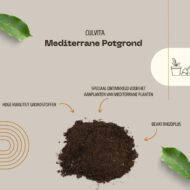 Mediterrane Blumenerde 40 Liter inklusive RhizoPlus geeignet für Olivenbäume, Zitruspflanzen und Palmen – Bild 4