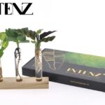 Briefkastenpaket Hydrokultur Ø7cm - H10cm