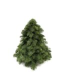 Tannenbaum  H30cm