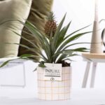 Ananas Rosita Tirza Keramik Topf Ø12cm - ↕35cm