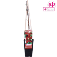 Clematis Niobe - H65cm - Ø15 – Bild 3