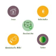 Green boutiQ - Zimmerpflanze - Chlorophytum comosum Variegatum - Katzengras - Haustierfreundlich - Bunt - 4 Pflanzen - Topf 12cm - Höhe 25-30cm – Bild 6