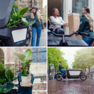 Gartenkräuter-Mischung  Ø14 cm – Höhe 18 cm – Bild 6