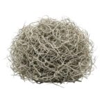 Gedroogd Tillandsia Mos – 1L – Alleen voor decoratief gebruik