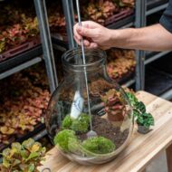 Flaschengarten-Werkzeug – Harke – 16–49 cm – Teleskop – Edelstahl - Terrarium Werkzeug – Bild 3