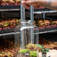 Flaschengarten-Werkzeug – Harke – 16–49 cm – Teleskop – Edelstahl - Terrarium Werkzeug – Bild 5