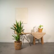 Yucca - Ø17cm - H90cm – Bild 2