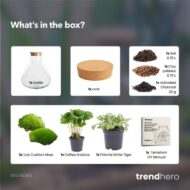 DIY-Terrarium – Sammie – H27 cm – Bild 3