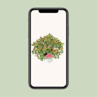 Rhododendron 'Bollywood' - Ø19cm - H30cm – Bild 4