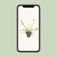 Morus mat. 'Mojo Berrie' - Ø13cm - H10cm – Bild 4