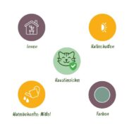 Green boutiQ - Zimmerpflanze - Phlebodium aureum Blue Star - Blaue Farn - Haustierfreundlich - Blau - 2 Pflanzen - Topf 12cm - Höhe 25-30cm – Bild 6