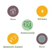 Green boutiQ - Zimmerpflanze - Phlebodium aureum Blue Star - Blaue Farn - Haustierfreundlich - Blau - 2 Pflanzen - Topf 12cm - Höhe 25-30cm – Bild 10