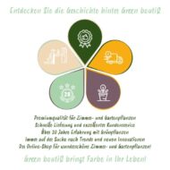 Green boutiQ - Zimmerpflanze - Nephrolepsis exaltata Green Lady - Farn - Haustierfreundlich - Grün - 2 Pflanzen - Topf 12cm - Höhe 28-30cm – Bild 7