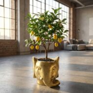 Pflanzelefant D11-12x10cm - Gold – Bild 4