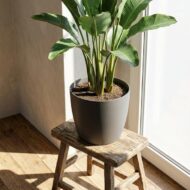 Brüsseler Topf - Anthrazit - D07x6cm – Bild 4