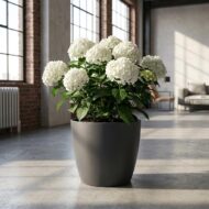 Brüsseler Topf - Anthrazit - D07x6cm – Bild 5