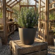 Brüsseler Topf - Anthrazit - D07x6cm – Bild 6